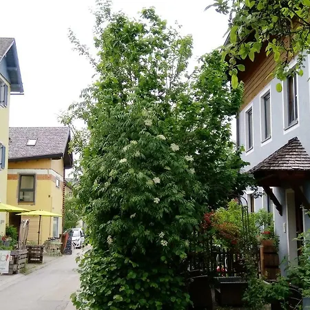 Apartament Girbl Bio - Lifestyle *