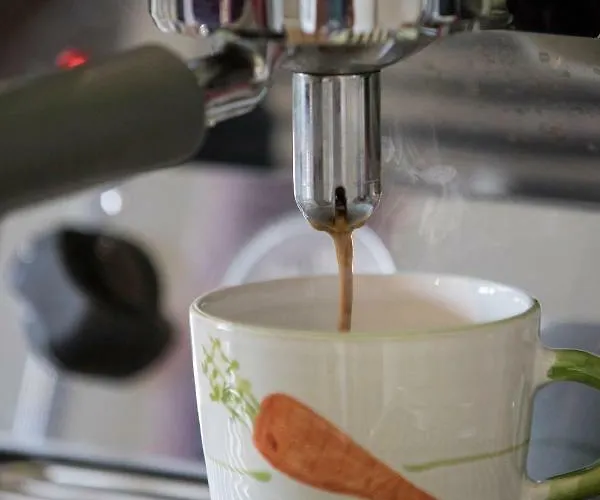 Apartament Girbl Bio - Lifestyle