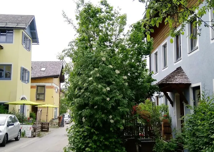 Apartament Girbl Bio - Lifestyle *